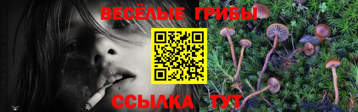 Псилоцибиновые грибы Cubensis  Галлюциногенные грибы Psilocybe  Тимашёвск  Вход с VPN 
